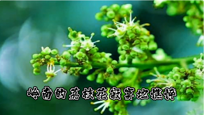 微信截图_20220918115152.png