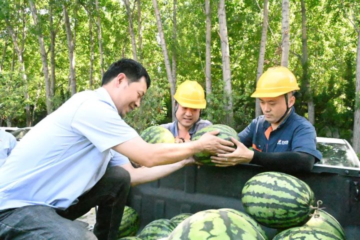 跃进港这些清凉“小事”很暖心