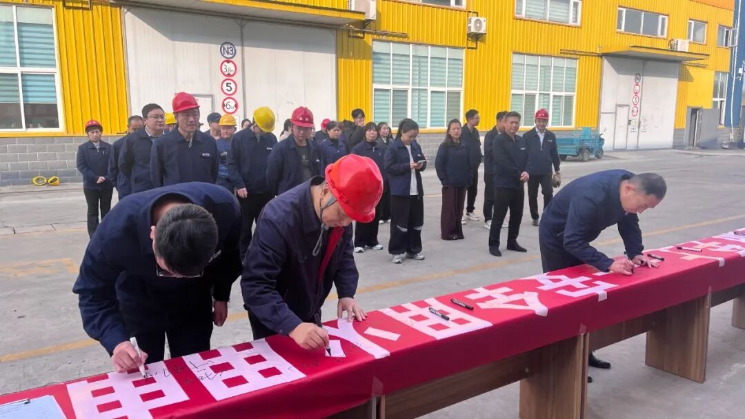 1764555915415816.jpg 10.jpg