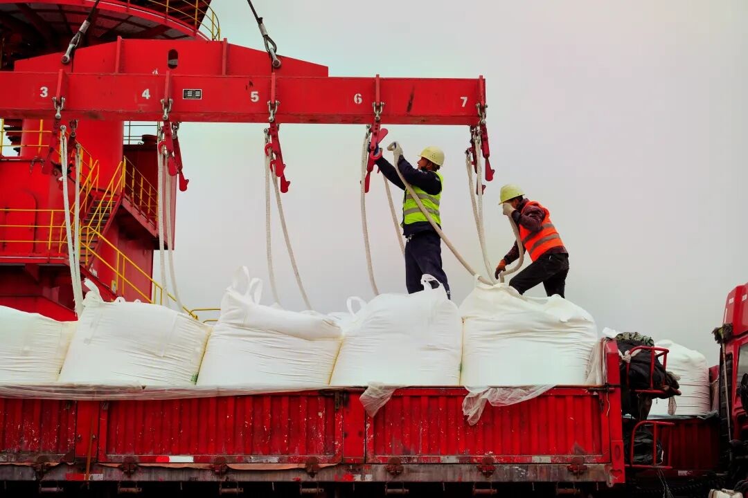 1771918527697200.jpg 0002.jpg